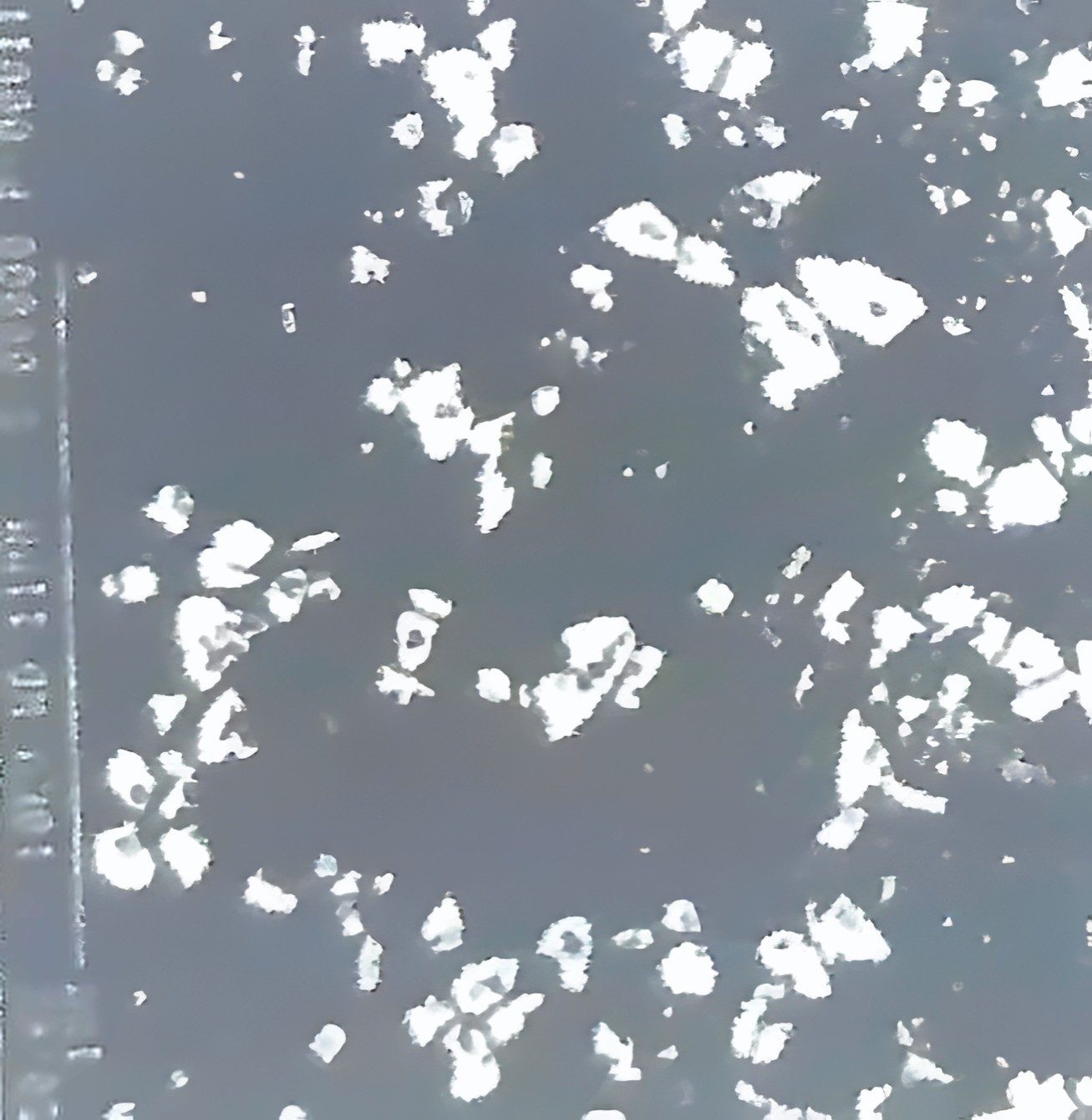 Fig.1 SUPER CERA-21 coated surface